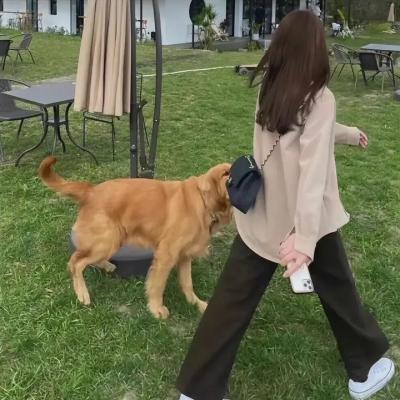 银河系恋爱